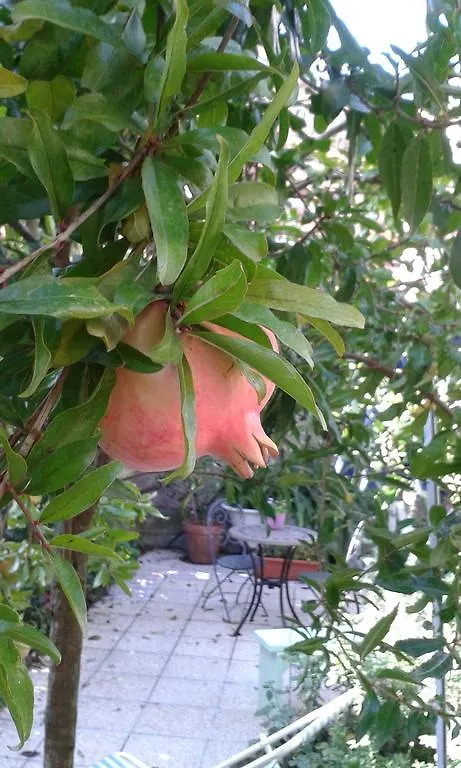Gianicolo Penny'S Garden Holiday home Rome