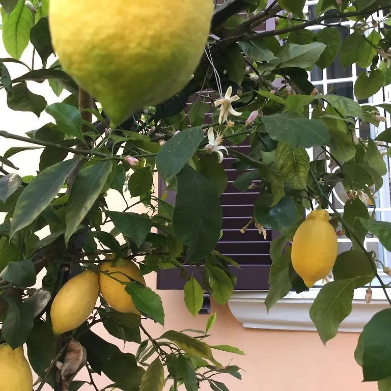 Gianicolo Penny'S Garden Holiday home Rome 0*,  Italy